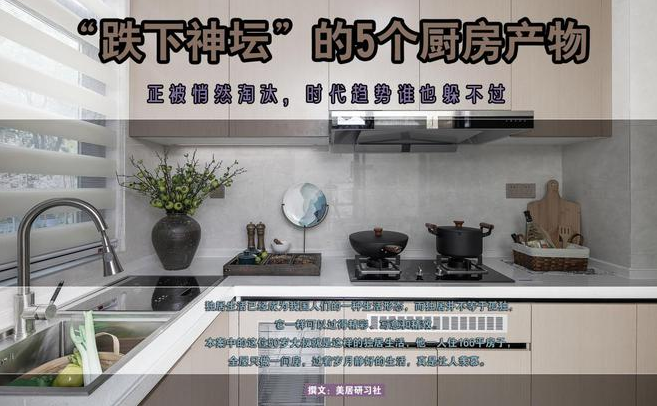 山水人家裝飾：“跌下神壇”的5個(gè)廚房產(chǎn)物，正被悄然淘汰，時(shí)代趨勢(shì)誰(shuí)也躲不過(guò)